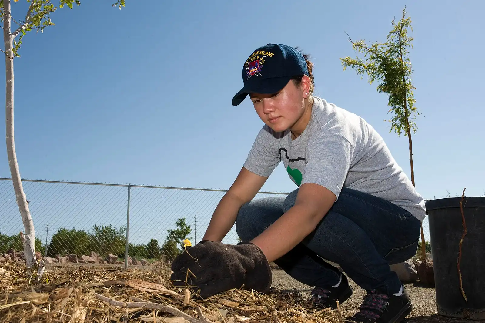 Vrijwilligers planten bomen in de buurt